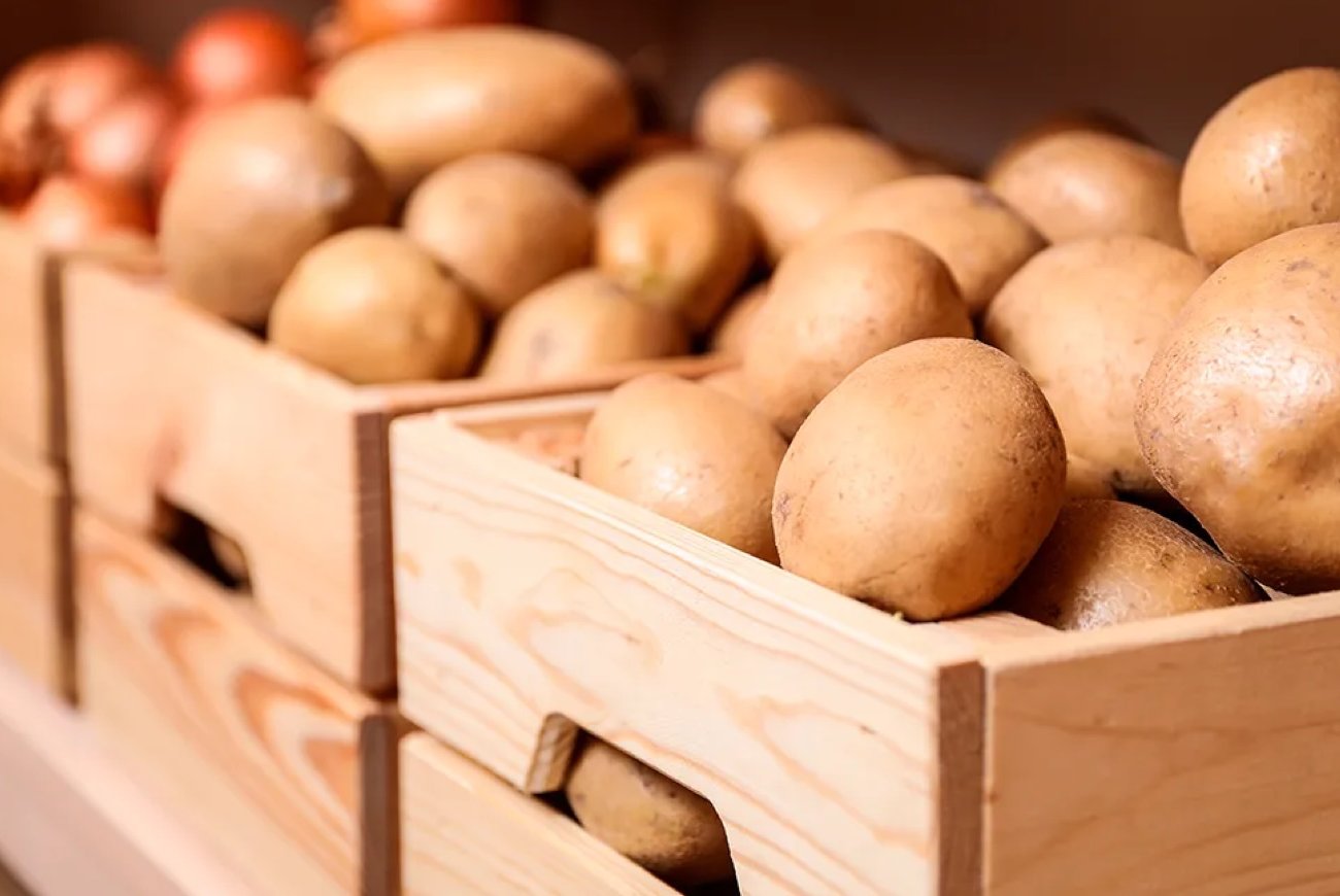 A burgonya tavaszig marad, mint friss: Ne feledje a zöldség hosszú távú tárolásának titkát A burgonya tavaszig marad, mint friss: Ne feledje a zöldség hosszú távú tárolásának titkát