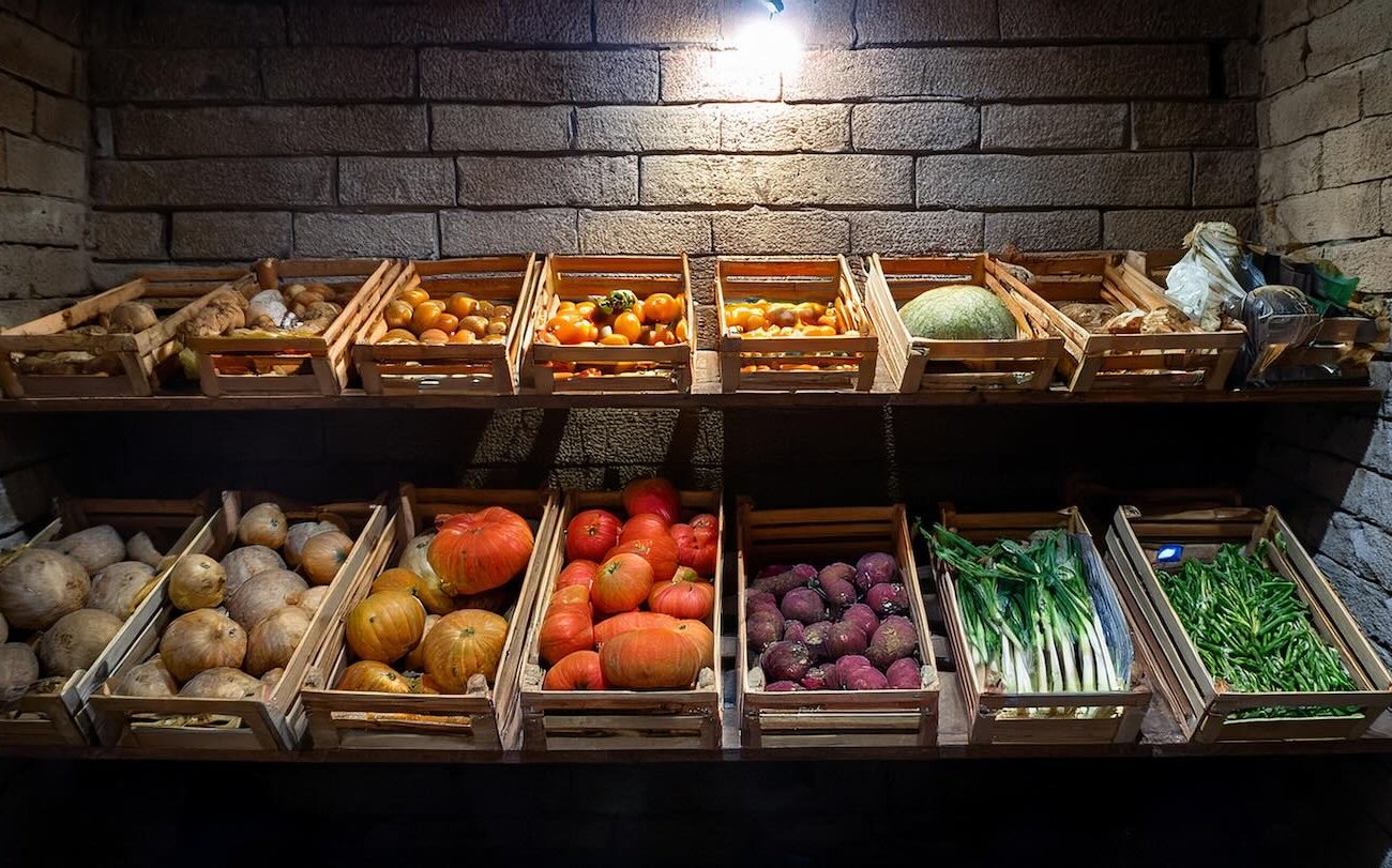 Hogyan lehet megszabadulni a nedvességtől a pincében: ez az egyszerű gél segít megbízhatóan megőrizni a termést Hogyan lehet megszabadulni a nedvességtől a pincében: ez az egyszerű gél segít megbízhatóan megőrizni a termést