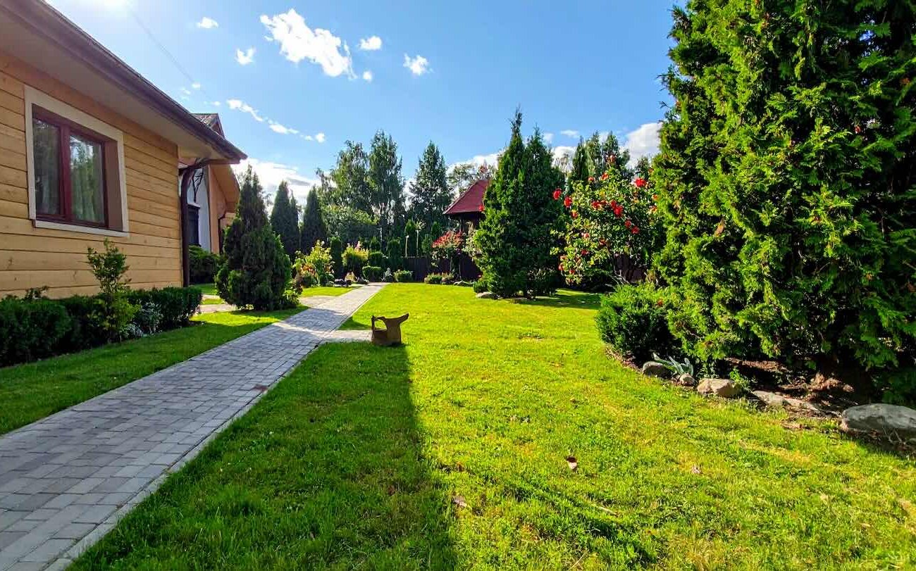 Éles megoldással kezeltem az alapot, és a rágcsálók elkerülték a házat: egyszerű élethack Éles megoldással kezeltem az alapot, és a rágcsálók elkerülték a házat: egyszerű élethack