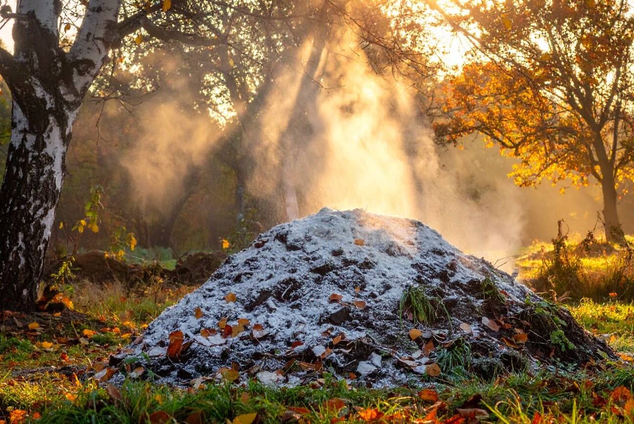 A komposzt olyan lesz, mint a fekete talaj: egyszerű módszer a műtrágya érésének felgyorsítására liszttel A komposzt olyan lesz, mint a fekete talaj: egyszerű módszer a műtrágya érésének felgyorsítására liszttel