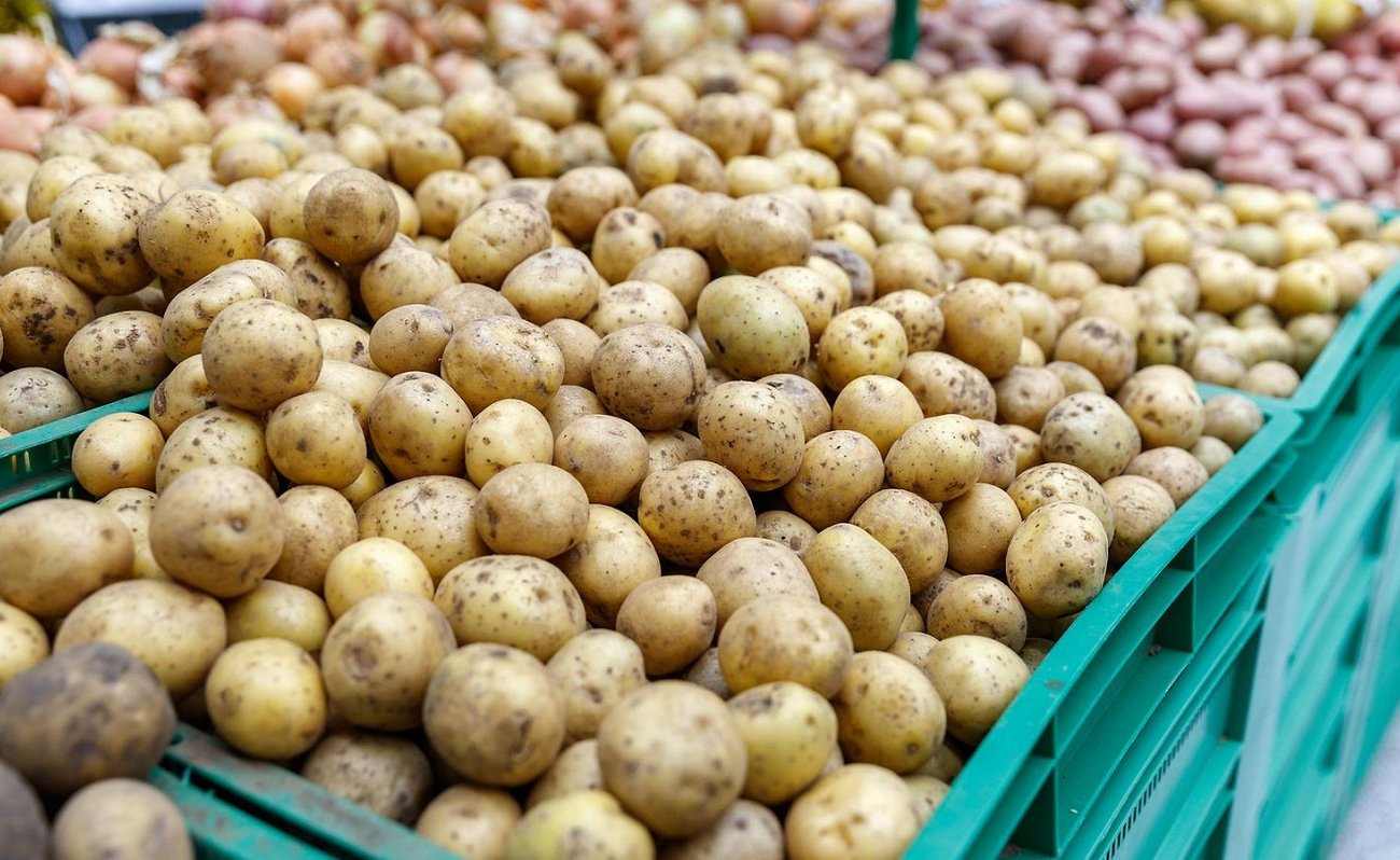 Nitrát nélkül is finom lesz a burgonya: a zöldséggumó kiválasztásánál figyeljünk oda Nitrát nélkül is finom lesz a burgonya: íme, mire kell figyelni a zöldséggumó kiválasztásakor