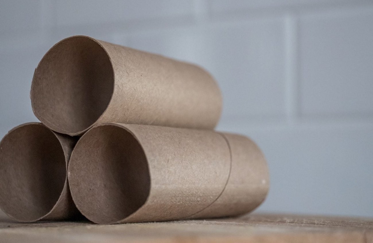 Egész télen gyűjtögetem a WC-papír tekercseket, és a dachában használom őket: egy életmentő csapás tapasztalt kertészektől Egész télen gyűjtögetem a WC-papír tekercseket, és a dachában használom őket: egy életmentő csapás tapasztalt kertészektől