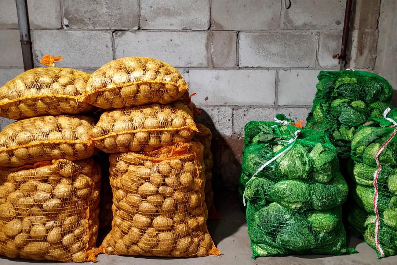 A pince egész évben száraz lesz: ne feledje, 3 munkamódszert a nedvesség kezelésére A pince egész évben száraz lesz: ne feledje, 3 munkamódszert a nedvesség kezelésére