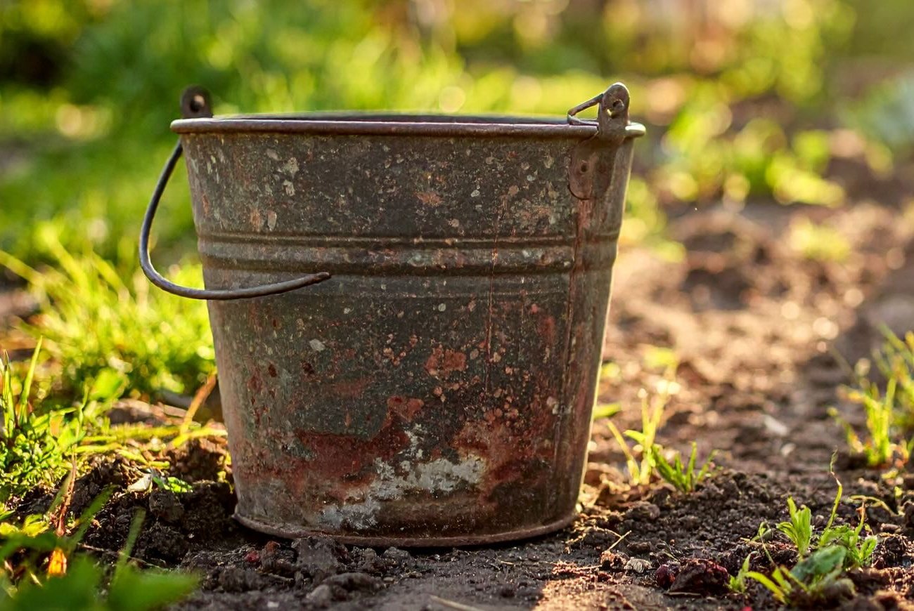 Már nem dobom ki a régi vödröket: egy váratlan vidéki használat meg fogja lepni az eredménnyel Már nem dobom ki a régi vödröket: egy váratlan vidéki használat meg fogja lepni az eredménnyel