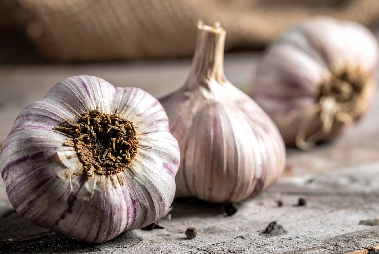 A fokhagyma tavaszig friss marad: egyszerű módja a hosszú távú tárolásnak A fokhagyma tavaszig friss marad: egyszerű módja a hosszú távú tárolásnak