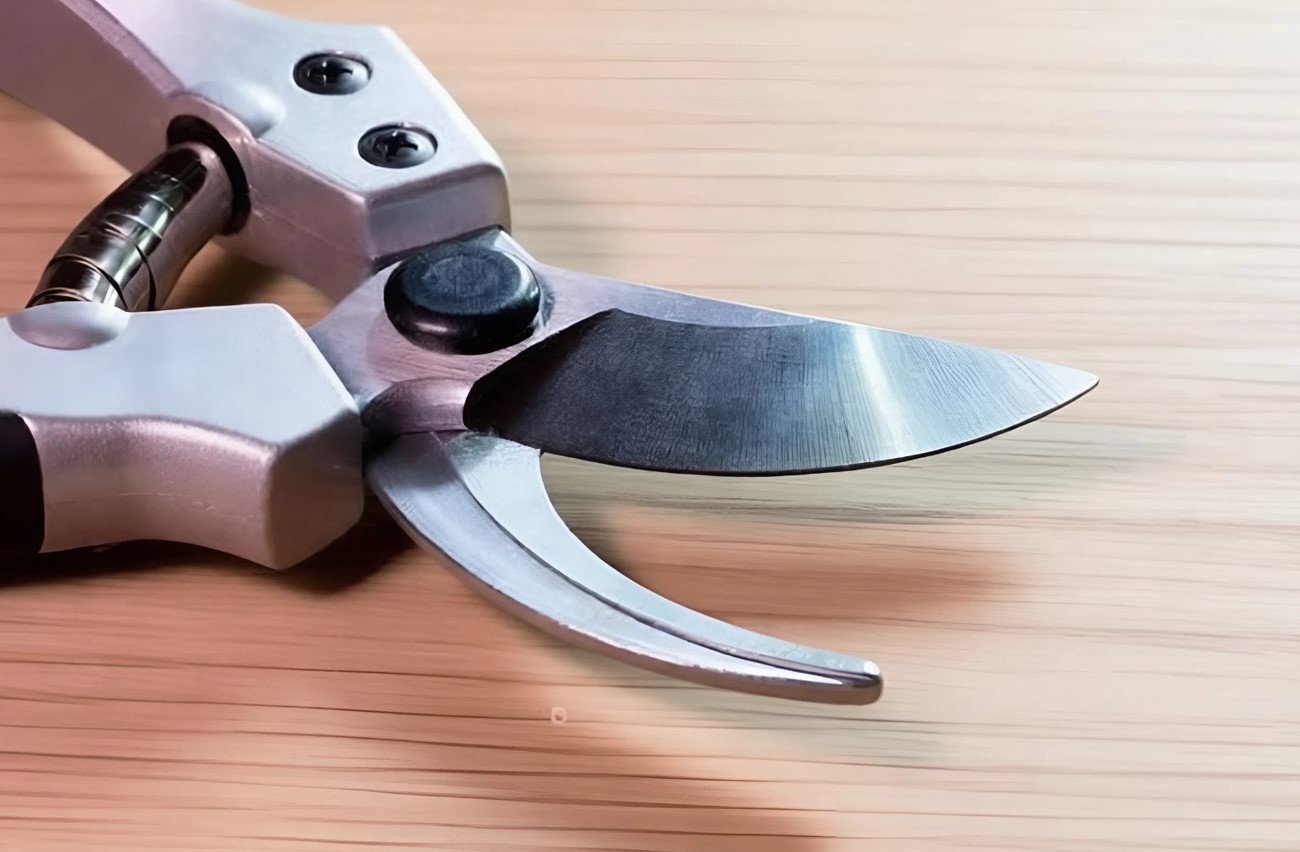 Hogyan élesíts metszőollót otthon 10 perc alatt: 4 egyszerű lépés extra költségek és szakember segítsége nélkül Hogyan élesíts metszőollót otthon 10 perc alatt: 4 egyszerű lépés extra költségek és szakember segítsége nélkül