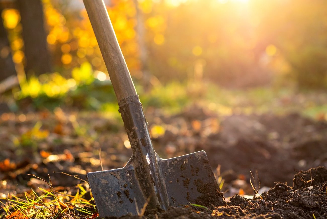 A lapát nyele olyan lesz, mint a selyem: egyszerű módszerekkel védheti meg kezét a bőrkeményedéstől a kertben A lapát nyele olyan lesz, mint a selyem: egyszerű módszerekkel védheti meg kezét a bőrkeményedéstől a kertben