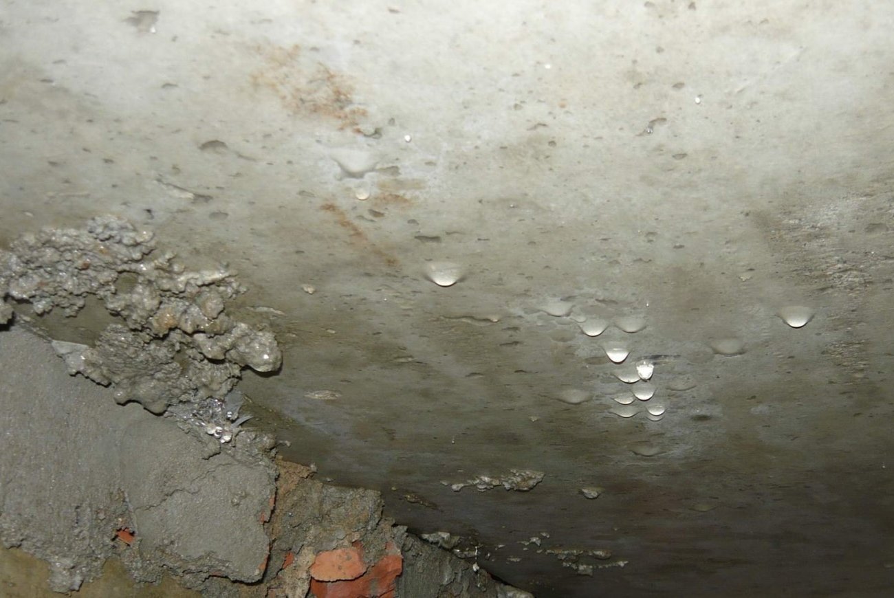 Nem lesz többé páralecsapódás a pincében: rusztikus módszerek a magas páratartalom kezelésére Nem lesz többé páralecsapódás a pincében: rusztikus módszerek a magas páratartalom kezelésére